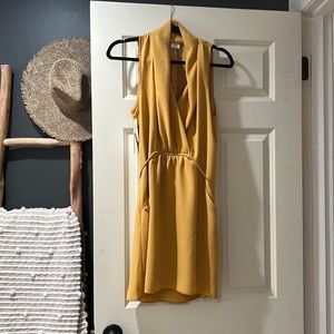 ARITZIA NWT dress